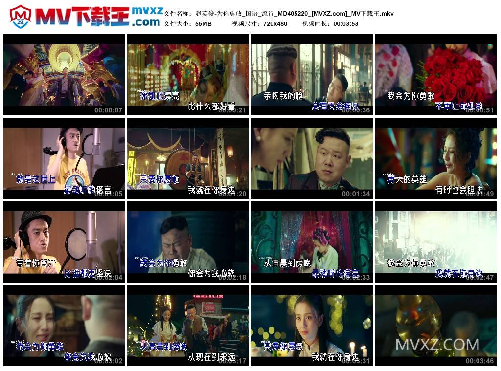 赵英俊-为你勇敢_国语_流行_MD405220